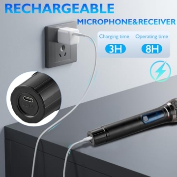 GOLDEN MARS Wireless Microphone System for Karaoke & Events