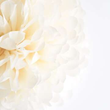 NICROHOME Wedding Decorations, 12 PCS Champagne Tissue Paper Pom Poms, Creamy White Paper Flowers for Engagement Receptions, Bachelorette, Birthday, Boho Bridal Showers Party Supplies