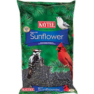 Kaytee Wild Bird Black Oil Sunflower Food - 5lbs Premium Seed