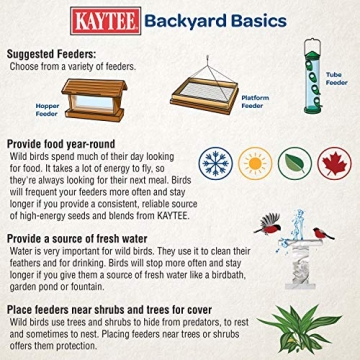 Kaytee Black Oil Sunflower Bird Food 5lbs Premium Seed