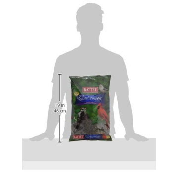 Kaytee Black Oil Sunflower Bird Food 5lbs Premium Seed