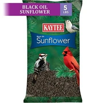 Kaytee Black Oil Sunflower Bird Food 5lbs Premium Seed
