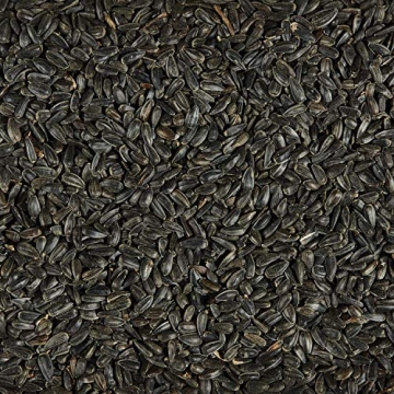 Kaytee Black Oil Sunflower Bird Food 5lbs Premium Seed