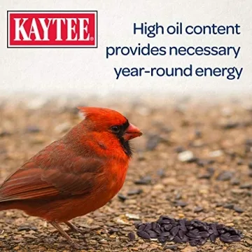 Kaytee Black Oil Sunflower Bird Food 5lbs Premium Seed