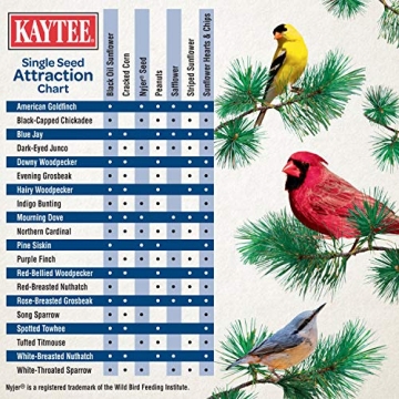 Kaytee Black Oil Sunflower Bird Food 5lbs Premium Seed