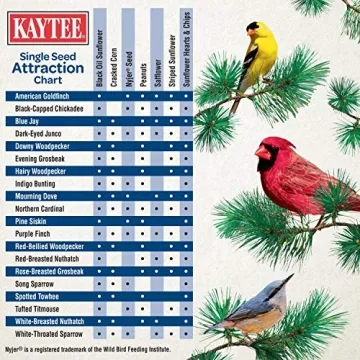 Kaytee Black Oil Sunflower Bird Food 5lbs Premium Seed