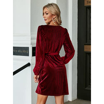 BerryGo Women's Velvet Mini Dress for Cocktail Parties