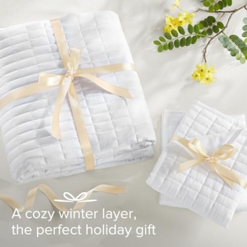 Comfort Spaces Kienna Quilt Set for All-Season Comfort