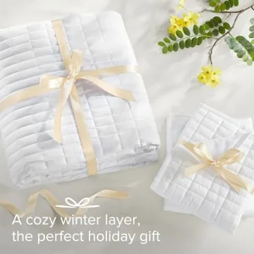 Comfort Spaces Kienna Quilt Set for All-Season Comfort