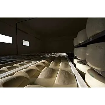 Authentic Parmigiano Reggiano PDO – 3 lbs Extra Quality