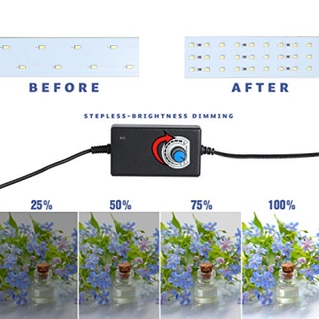 Finnhomy Portable Photo Studio for Stunning Photography