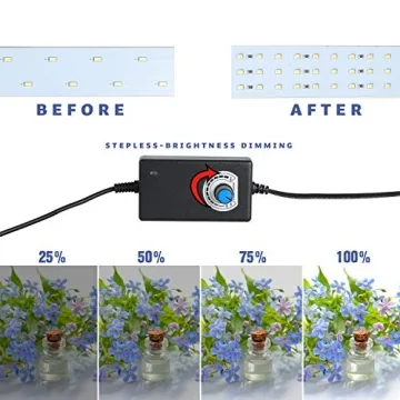 Finnhomy Portable Photo Studio for Stunning Photography