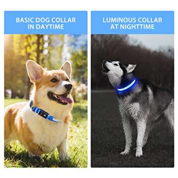 PcEoTllar Light up Dog Collar for Night Walking - LED Dog Collar Light Rechargeable Color Changing, ...