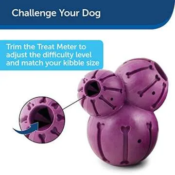 PetSafe Busy Buddy Barnacle - Durable Dog Chew Toy