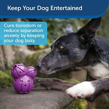 PetSafe Busy Buddy Barnacle - Durable Dog Chew Toy