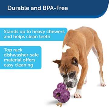 PetSafe Busy Buddy Barnacle - Durable Dog Chew Toy