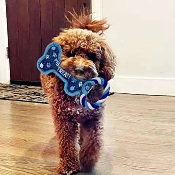 Rite Lite Hanukkah Bone Squeaky Dog Toy - Hanukkah Gifts for Dog Owners, Decorations, Goodie Bag Rewards Jewish Holiday Party Favors Toys Accessories Judaica Decor for All 8 Nights of Chanukah!