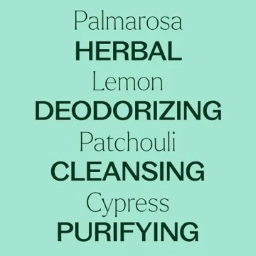 Plant Therapy Deodorizing Essential Oil Blend 10 mL All Natural