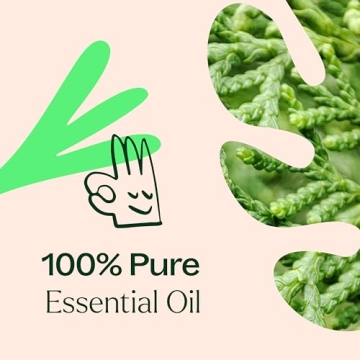 Plant Therapy Deodorizing Essential Oil Blend 10 mL All Natural