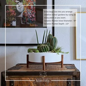 Kimisty Stylish Large Round Succulent Pot with Stand