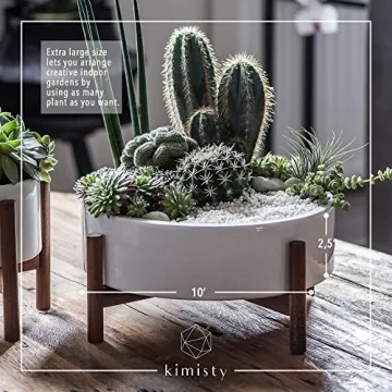 Kimisty Stylish Large Round Succulent Pot with Stand