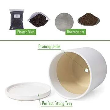 D'vine Dev 10 Inch Ceramic Planter Pot with Drainage Hole and Saucer, Indoor Cylinder Round Planter Pot, White, 94-O-E-1