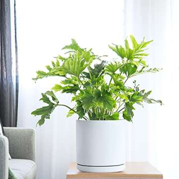 D'vine Dev 10 Inch Ceramic Planter Pot with Drainage Hole and Saucer, Indoor Cylinder Round Planter Pot, White, 94-O-E-1