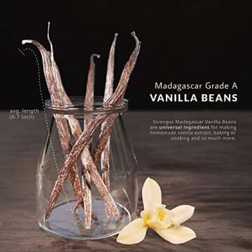 Strongus Madagascar Vanilla Beans - Rich Flavor & Aroma