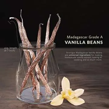 Strongus Madagascar Vanilla Beans - Rich Flavor & Aroma