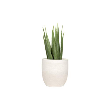 Matte White Embossed Stoneware Planter for Stylish Greens