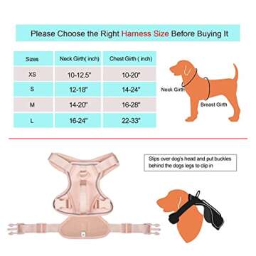 Petmolico Dog Harness for Small Dogs, Cute Harness Vest with Two Leash Clips and Soft Handle, Reflec...