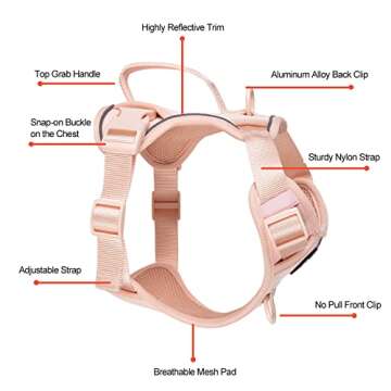 Petmolico Dog Harness for Small Dogs, Cute Harness Vest with Two Leash Clips and Soft Handle, Reflective Easy Walk Puppy Vest - Pink, X-Small