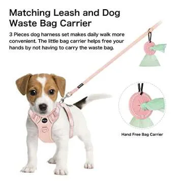 Petmolico Dog Harness for Small Dogs, Cute Harness Vest with Two Leash Clips and Soft Handle, Reflective Easy Walk Puppy Vest - Pink, X-Small