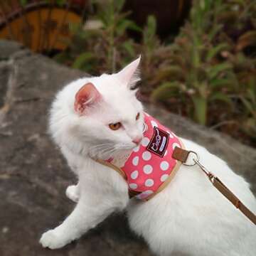 Stylish Yizhi Miaow Cat Harness and Leash for Kittens
