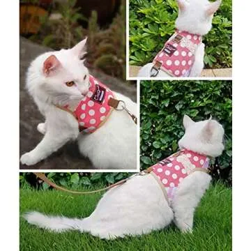 Stylish Yizhi Miaow Cat Harness and Leash for Kittens