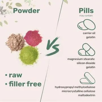 Micro Ingredients Organic Lions Mane Mushroom Supplement Powder, 16 Ounce | Natural Superfood for Brain, Energy, & Immune Health | Non-GMO Vegan