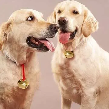 50 Pack 1 Inch Jingle Bells Christmas Gold Jingle Bells for Craft Festival Decoration with 30 Meter Red Cord and 12 Bowknots