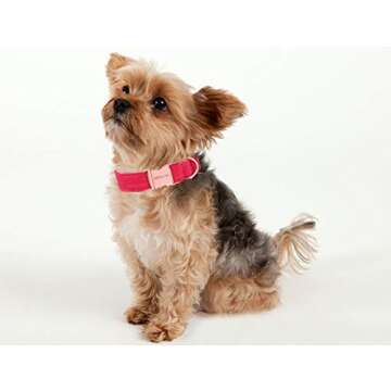 Soft Velvet Dog Collar and Leash Set - ARING PET
