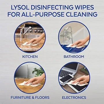 Lysol Disinfecting Wipes To-Go Pack for Hygiene Travel