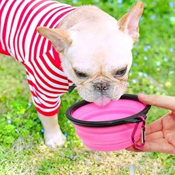 Portable SLSON Collapsible Dog Bowls for Pets