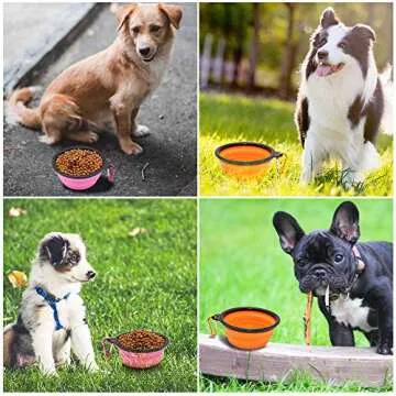 Portable SLSON Collapsible Dog Bowls for Pets