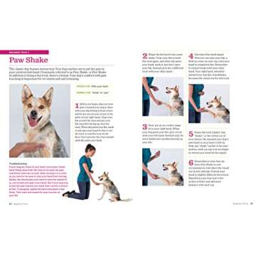 The Big Book of Dog Tricks for All Ages and Breeds