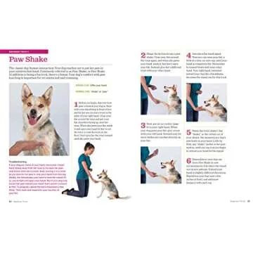 The Big Book of Dog Tricks for All Ages and Breeds