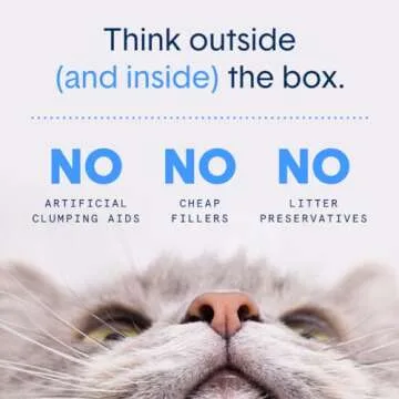 Boxie® Probiotic 40 Day Natural Odor Control Cat Litter, 28lb Clumping Clay Kitty Litter