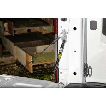 Dee Zee DZ43204 Tailgate Assist fits 2015-Current Ford F150, Multicolor