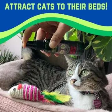 Smokey's Stash Catnip Spray for Cats from 2 Ounce Fresh Premium Maximum Potency nip Treat