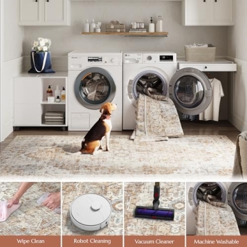 JINCHAN 5x7 Washable Area Rug for Stylish Homes