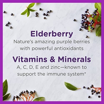 Zarbee's Elderberry Immune Support Gummies 70 Count