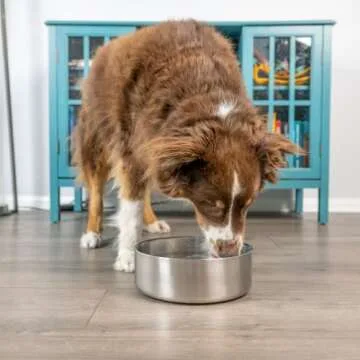 Stainless Steel Dog Bowls, Water Bowls for Large Dogs (Set of 2) Double Walled Pet Bowl | Use as a Outdoor Dog Bowl for Food or Water Holds 2 Quarts / 64 oz
