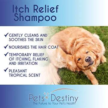 Pets Destiny Anti Itch Relief Shampoo 12 Fl Oz for Pets